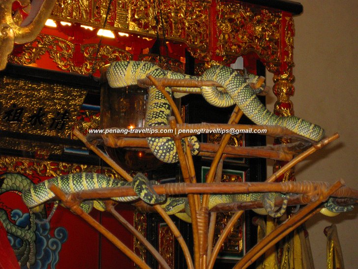 snake-temple-pit-vipers-04