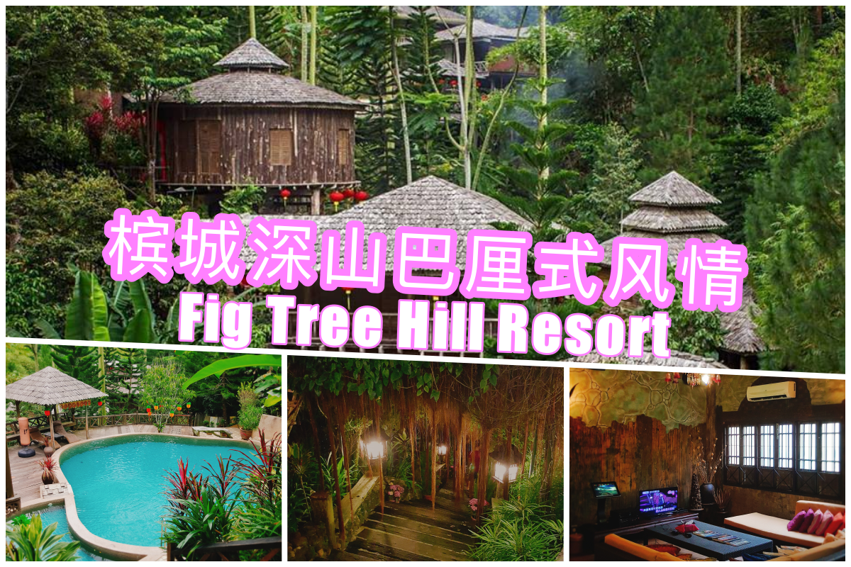 槟城 深山巴厘式风情 Fig Tree Hill Resort