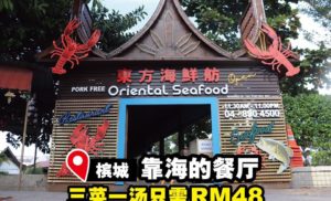 Oriental Seafood Village 3菜1汤套餐包括一条鱼，午餐/晚餐都是RM48！