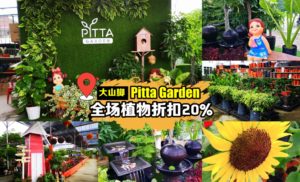 赏心悦目花园大山脚Pitta Garden年中大促销，全场植物折扣20%